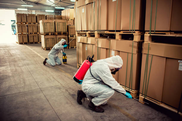 Best Insect Control  in Peridot, AZ