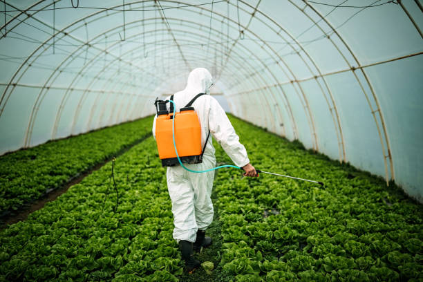 Best Residential Pest Control  in Peridot, AZ