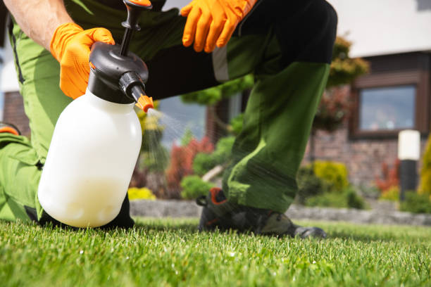 Best Affordable Pest Control Services  in Peridot, AZ