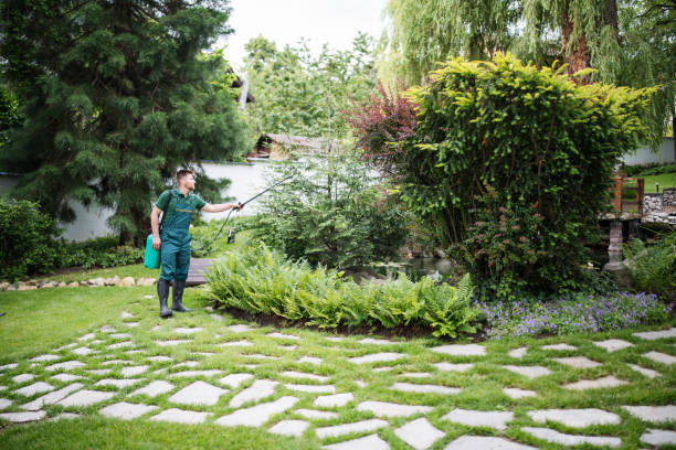 Best Wasp Removal Services  in Peridot, AZ