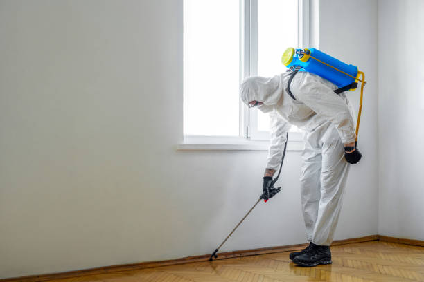 Best Commercial Pest Control Services  in Peridot, AZ