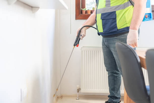 Professional Pest Control in Peridot, AZ