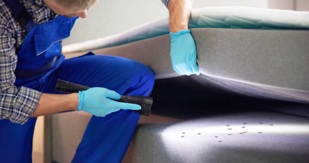 Best Pest Prevention Services  in Peridot, AZ