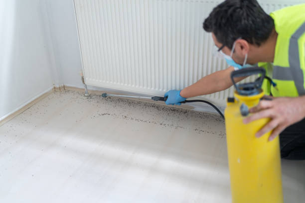 Best Local Pest Control Services  in Peridot, AZ